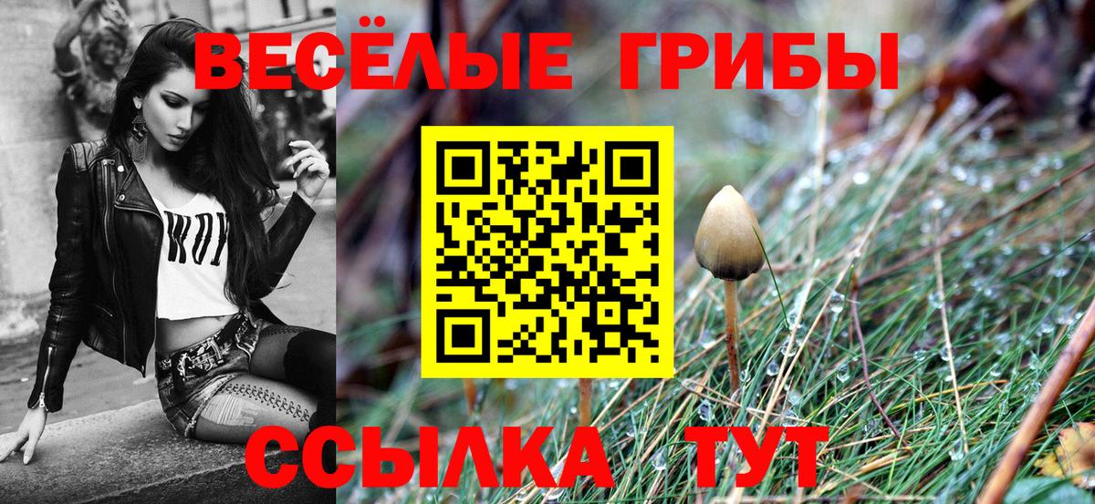 Псилоцибиновые грибы Psilocybine cubensis  Вход с VPN  Псилоцибиновые грибы MAGIC MUSHROOMS  Шали 